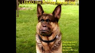 Leeko, the Monkey-Faced Dog