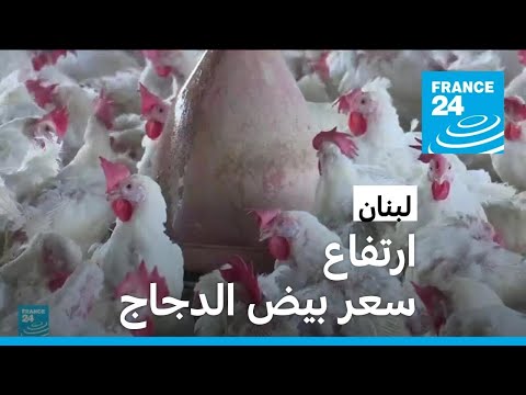 ما سبب ارتفاع سعر بيض الدجاج في لبنان فرانس 24  24