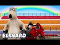 Motorcycle Race! AND MORE | Bernard Bear | 30 min Compilation | Cartoons for Children