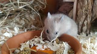 Apró Nappali Felfedező Utak