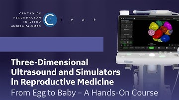 Automatic Evaluation of Ovarian Follicles at Baseline and During Stimulation