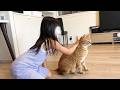 猫愛好家の6歳娘が猫に好かれる理由がコチラです