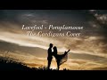 Love fool - Lyric | Pomplamoose | The Cardigans (Cover)