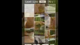 Mastiff Dog Puzzle Games Thriller Video screenshot 3