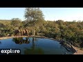 Africam rosies pan powered by exploreorg