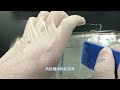 Step-by-step tutorial for Western Blot experiment - Transfer