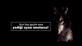 Ali Kınık - Kurtlar Sofrası Remix & AslanBeY MTA  2020 Telifsiz Müzik Resimi