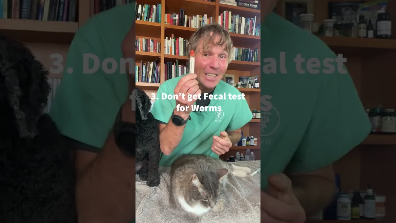 3 Things I WOULD NOT DO Since Becoming A Retired Veterinarian