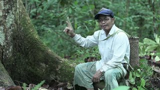 Bukti Nyata Warga Sekitar Hutan Memanfaatkan  Hasil Hutan Bukan Kayu