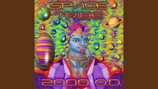 The First Trip (Original Mix)