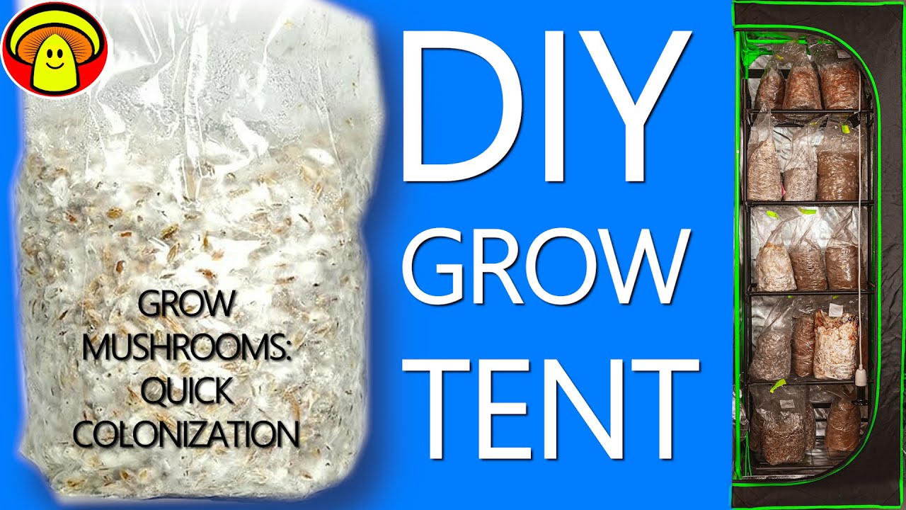 How to build a GROW TENT - YouTube