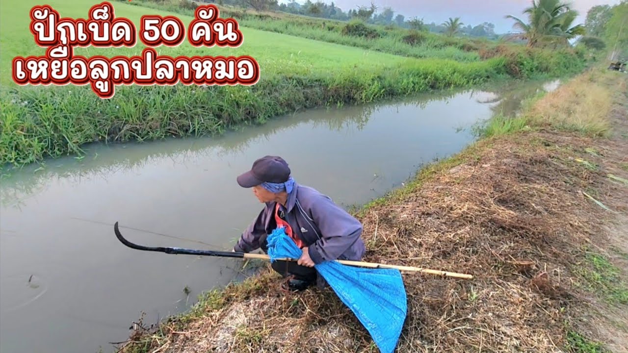 ปักเบ็ด 50 คัน หมายนี้มีตัวให้ลุ้นอยู่ตลอด