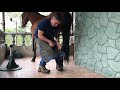 Clínica MUSTAD - Conoce la anatomía y balance de las extremidades del caballo