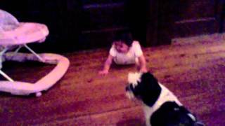 One of our identical twin girls, Lilly laughing at our toy poodle ,...