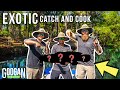 MYSTERY Florida CANAL CATCH CLEAN COOK! ( EXOTIC FISHING )