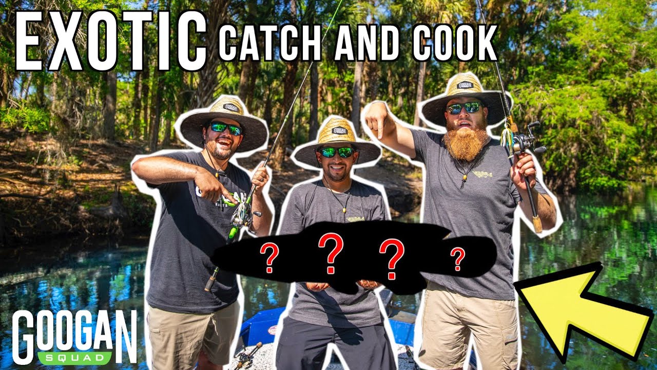 MYSTERY Florida CANAL CATCH CLEAN COOK! ( EXOTIC FISHING )