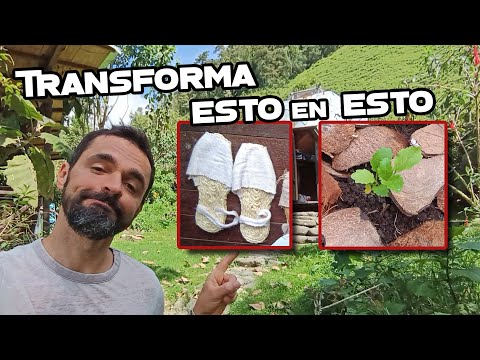 Usa alpargatas en tu casa