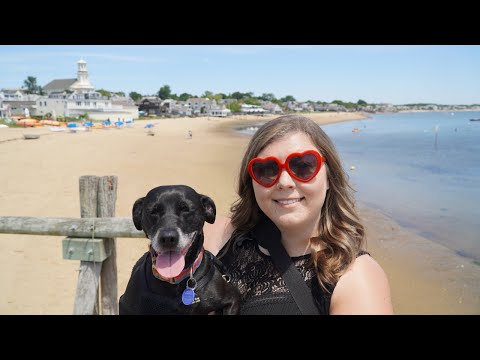 Vídeo: Visitant Plymouth Rock a Massachusetts