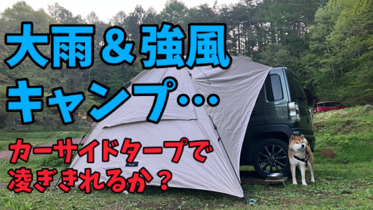【大雨＆強風キャンプ】カーサイドタープで凌ぎきれるか？｜おっさんと柴犬 in 星の降る森