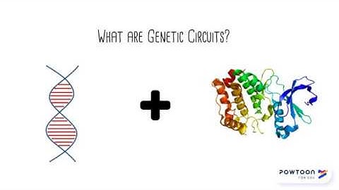 Genetic Circuits