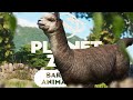 7 New Animals &amp; 60+ Decorations! Closer Look At The Planet Zoo Barnyard Animal Pack