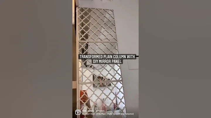 Mirror Panel on wall #diy #shorts #mirror #panel #ikea #amazon #viral #home #decor #short #homedecor