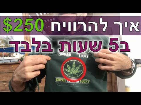 וִידֵאוֹ: כיצד להרוויח כסף באינטרנט: הדרכים הטובות ביותר להשיג כסף אמיתי במהירות ללא השקעות עבור תלמידי בית ספר, אמהות בחופשת לידה ומתחילים אחרים