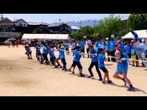 井口町民体育祭2015_小学生綱引き