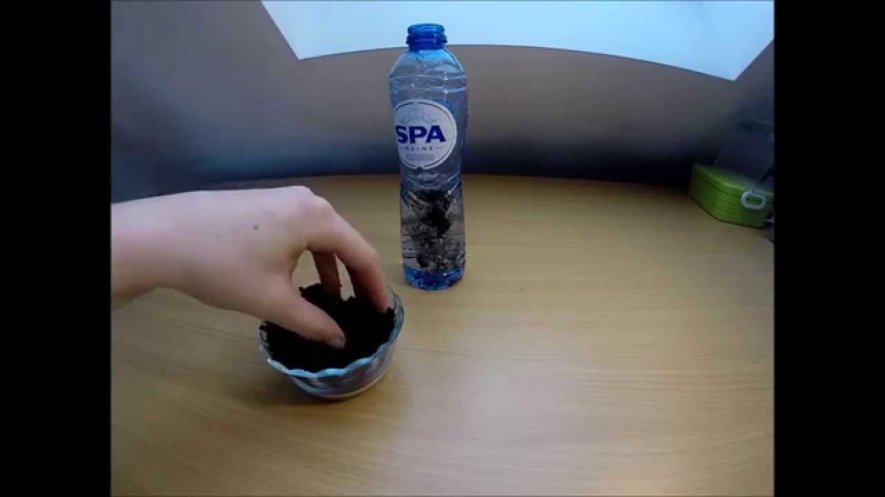 Kindernevendienst 14 Februari 2021 Protestantse Gemeente Dronten Kindernevendienst 14 Februari 2021 Protestantse Gemeente Dronten