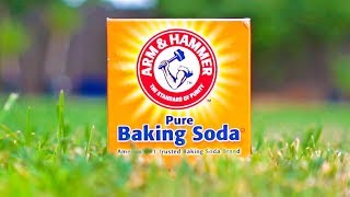 5 Uses of Baking Soda in Garden and Home