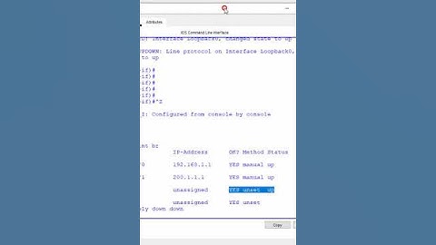 18.How to Check do we have Loopback interface or not? | CCNA | CCNP
