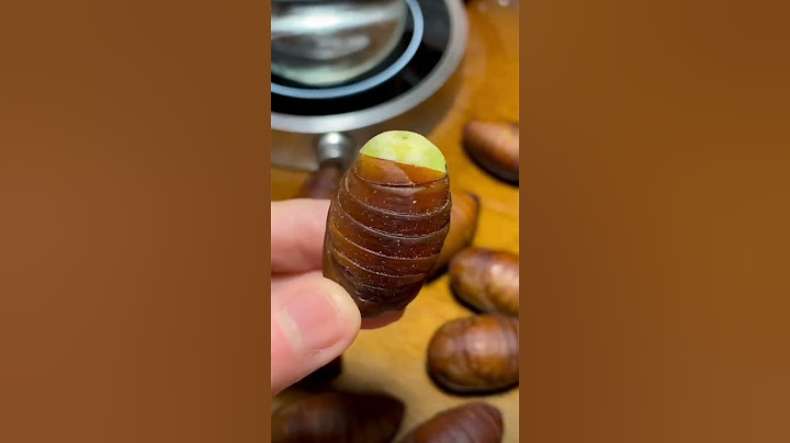 How To Feed a Hamster ! #food  #hamsterfood  #silkworm