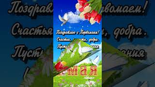 С 1 Мая Поздравление. Красивая открытка на 1 мая. Весенний праздники.