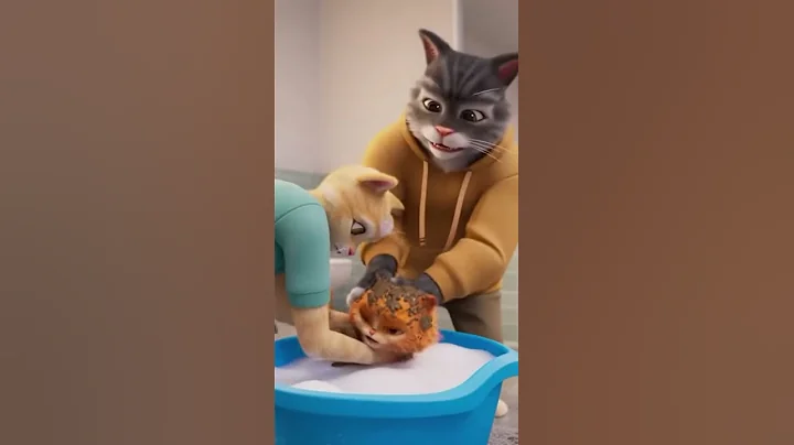 Video 11496821: kitten bath, tiny kitten, kitten hilarious, cat