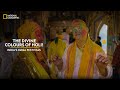 The divine colours of holi  indias mega festivals  national geographic