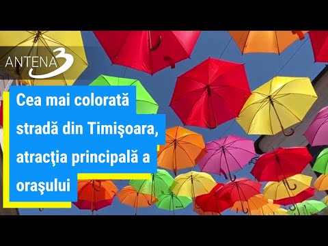 Cea mai colorată stradă din Timişoara, atracţia principală a oraşului