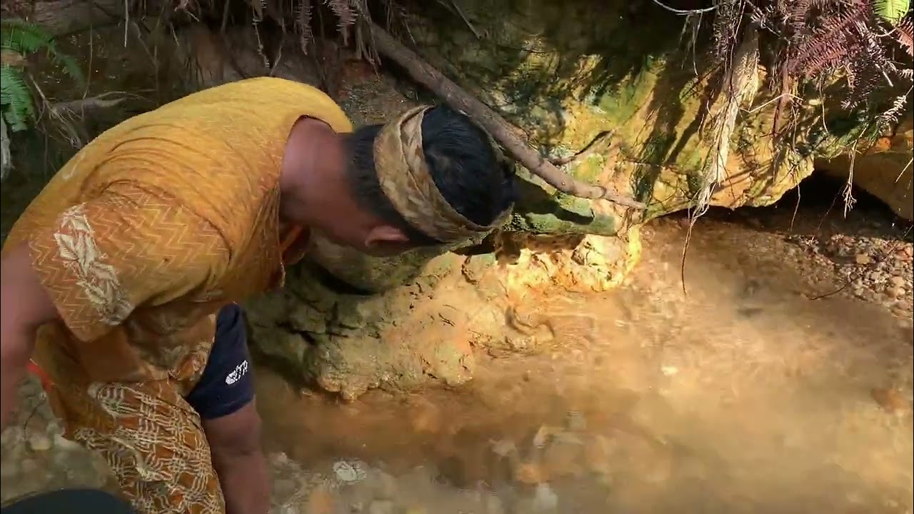 Penemuan‼️ material emas di aliran sungai hutan😱