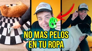 Puse a prueba 3 inventos geniales para quitar los pelos de perro y gato de la ropa screenshot 2