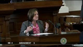 State Rep. Ann Johnson on Texas Abortion Ban