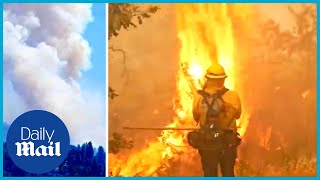 California Oak Fire: More than 2,000 firefighters battle to contain blaze half the size of Paris