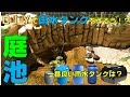 ＤＩＹで雨水タンクを自作しよう！？【2018#014】