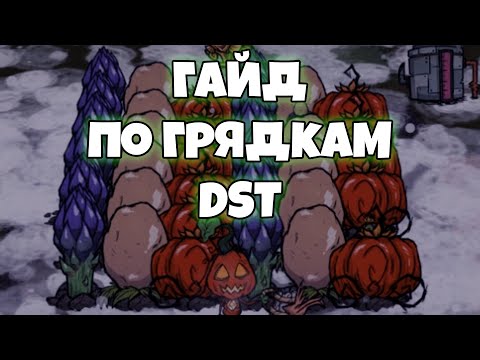 Гайд по ОГРОМНЫМ овощам (Don't Starve Together)