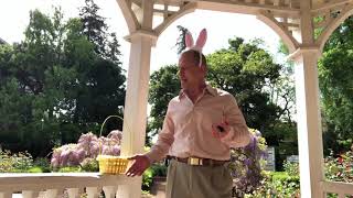 Easter Egg Hunt at Central Park!