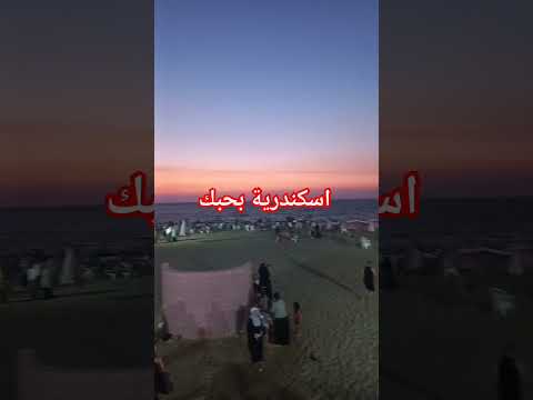 بحب اسكندرية