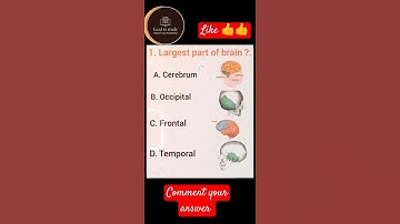 Brain Ka Bada Bhag | Largest Part of Brain | Human brain Parts #viral