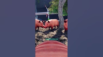 🐷 Making a VR Game - TRUE Pig Sim 2024 Reboot! #vrgaming  #devlog #shorts May 22, 2024