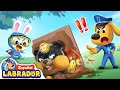 🔍Sheriff Labrador - El Hombre Súper Capa | Videos de Niños | BabyBus en Español