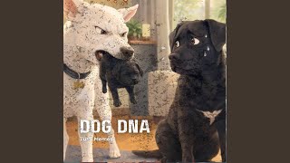 Dog DNA