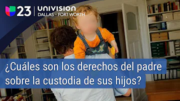 ¿Pueden los padrinos obtener la custodia?