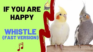 IF YOU ARE HAPPY AND YOU KNOW IT WITH WHISTLE FOR BIRDS - FOR COCKATIELS - COCKATIEL SONGS